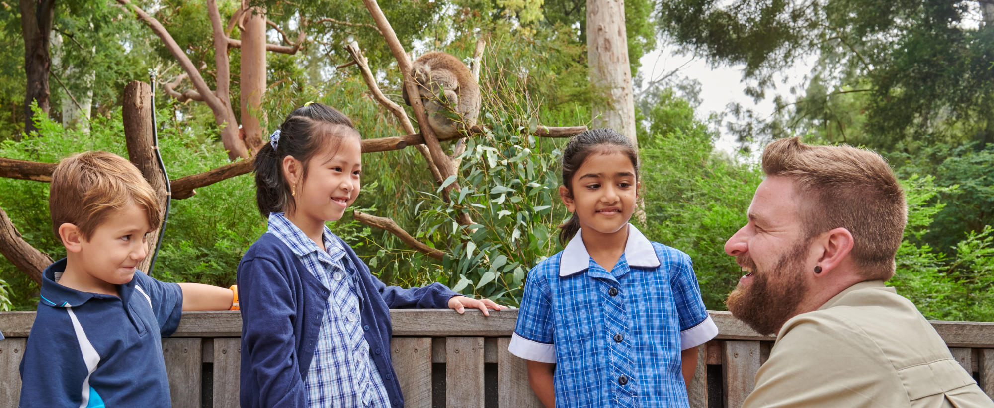 Keeper enthusiastically talking to three young guests, while a Koala sits eating in the tree behind them.
