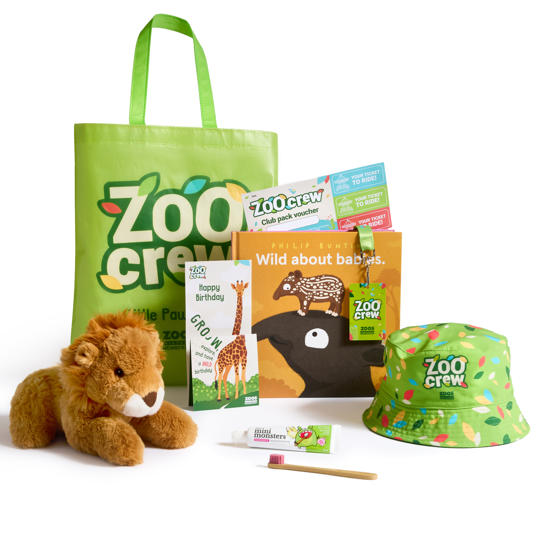 Zoo Crew pack, including a plush Lion, books, cards, lanyard and green tote bag.