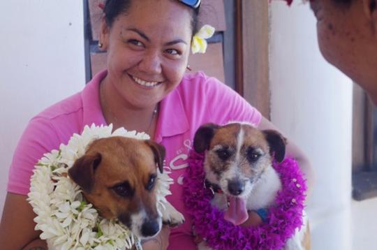 Manu Keeper holding two small Dogs (terriers), each with flower wraths around their necks.