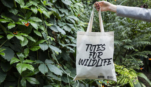 A toe bag with the text "Totes for Wildlife" on it, being held up by a right arm, in front of trees inside the Butterfly House.