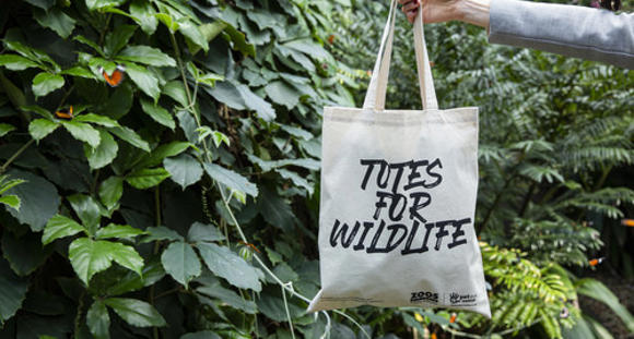 A tote bag with the text "Totes for Wildlife" on it, being held up by a right arm, in front of trees inside the Butterfly House.