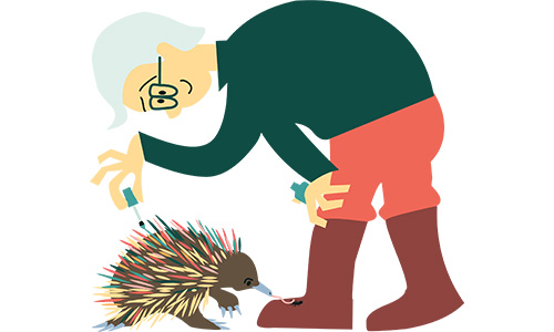 A science activity character for National Science Week 2026, tending to an echidna.