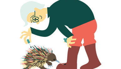 A science activity character for National Science Week 2026, tending to an echidna.