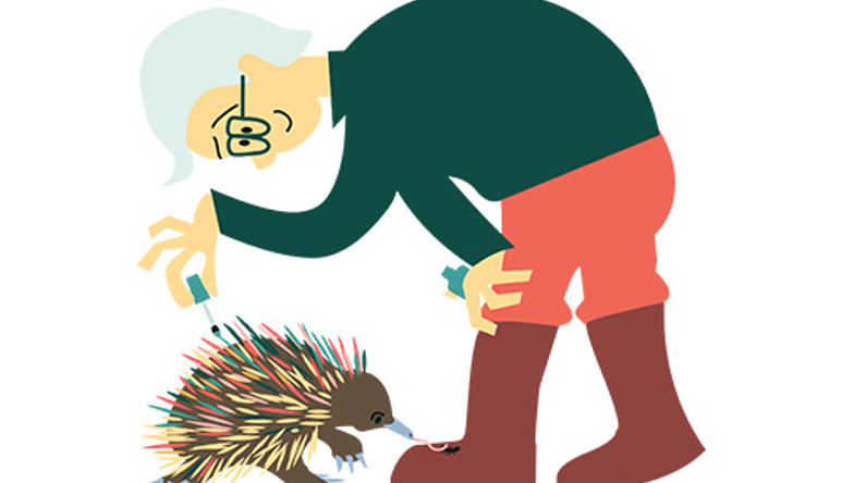 A science activity character for National Science Week 2026, tending to an echidna.
