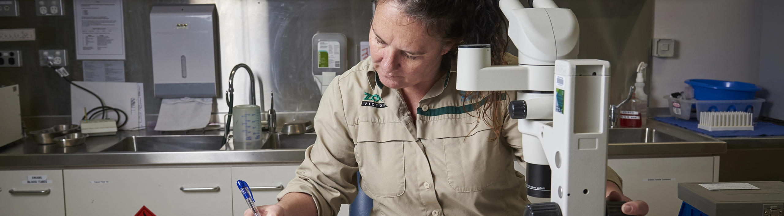 Vet Nurse Doing Lab Work.