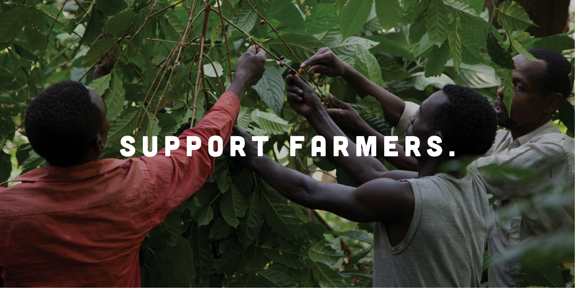 "Support Farmers": Three farmers picking berries, behind the slogan.