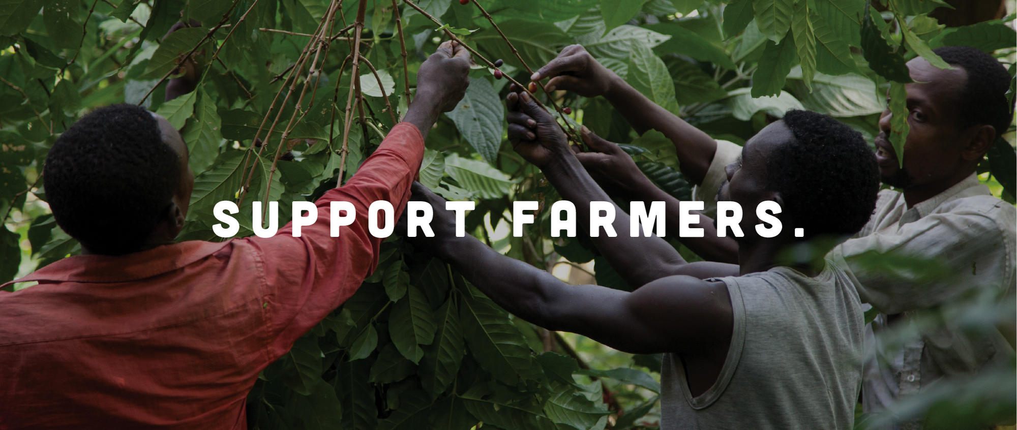 "Support Farmers": Three farmers picking berries, behind the slogan.