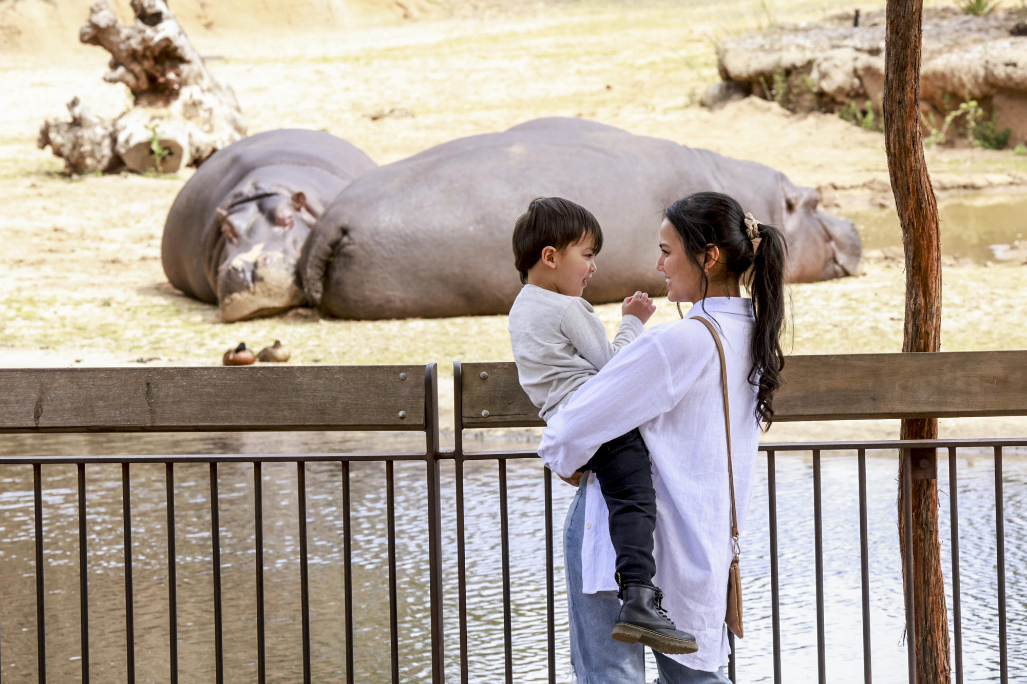 A son and a mum looking at each other smiling with two hippos in the background