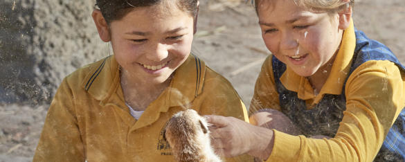 Two students in yellow school uniform smile as they watch meerkats on an excursion at Melbourne Zoo 