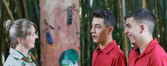 A side angle view of a Zoo keeper talking with two teens dressed in red school uniforms in the Gorilla rainforest at Melbourne Zoo.