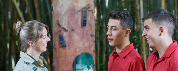 A side angle view of a Zoo keeper talking with two teens dressed in red school uniforms in the Gorilla Rainforest at Melbourne Zoo.