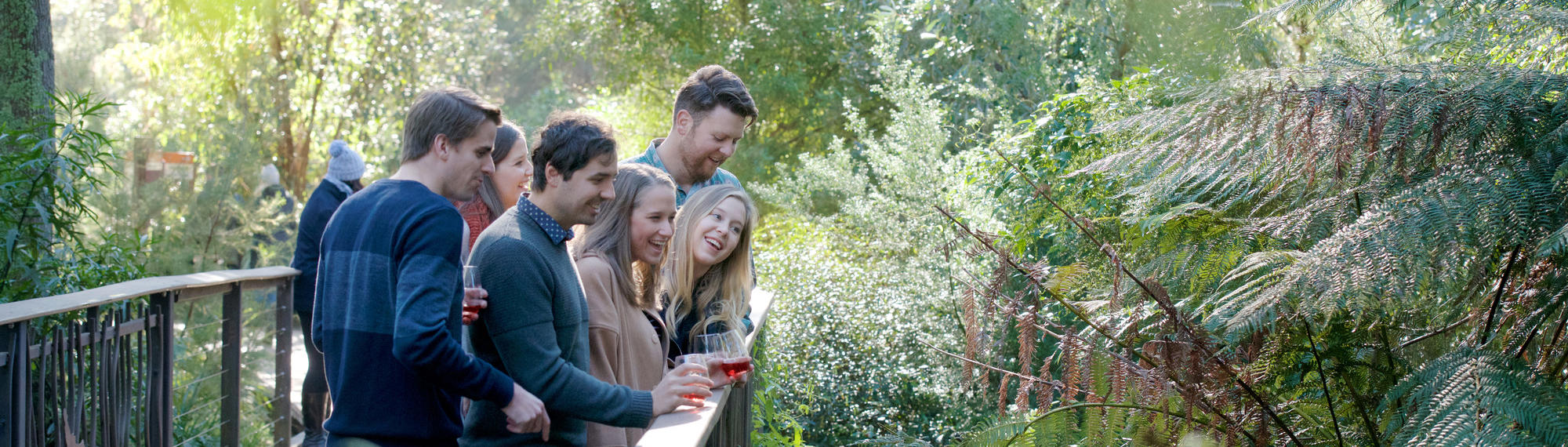 Seven guests, three holding red wine glasses, enjoying the view from the bridge over Badger Creek, all looking right to the forest.