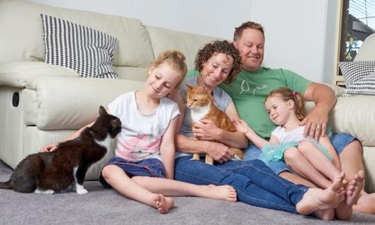A family of four sitting in front of a couch, petting two cats and all smiling.
