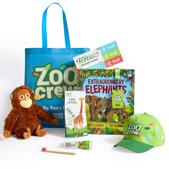 Zoo Crew pack, including a plush Monkey, books, cards, toothbrush, lanyard and blue tote bag.