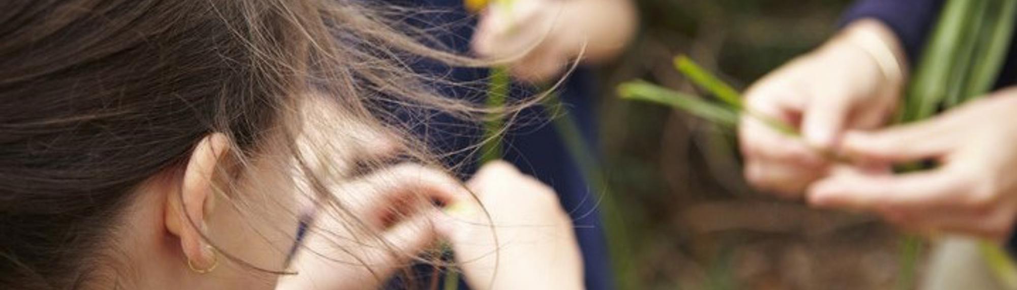 Rear view of a female student's hands holding long blades of grass, seen from her right.