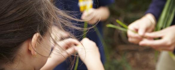 Rear view of a female student's hands holding long blades of grass, seen from her right.