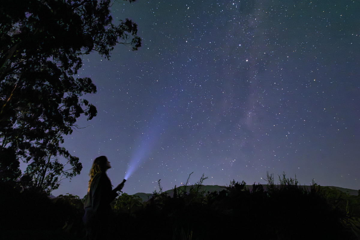 Stars photographed in the Coranderrk for upcoming Sky Country tours; Woman shining torch up towards stars at lake tour location.