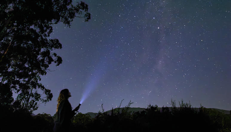 Stars photographed in the Coranderrk for upcoming Sky Country tours; Woman shining torch up towards stars at lake tour location.