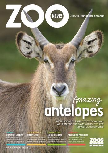 Cover of Zoo News 2023 winter