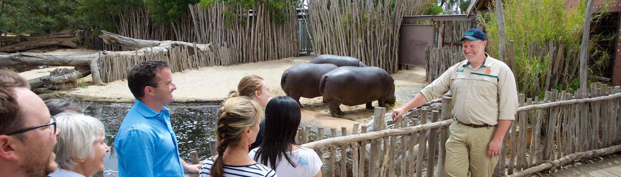 A group of people listening to a Zoo Keeper talk in front of three Hippos.