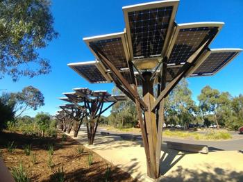 Poles of solar panels along a pathway surrounded by trees