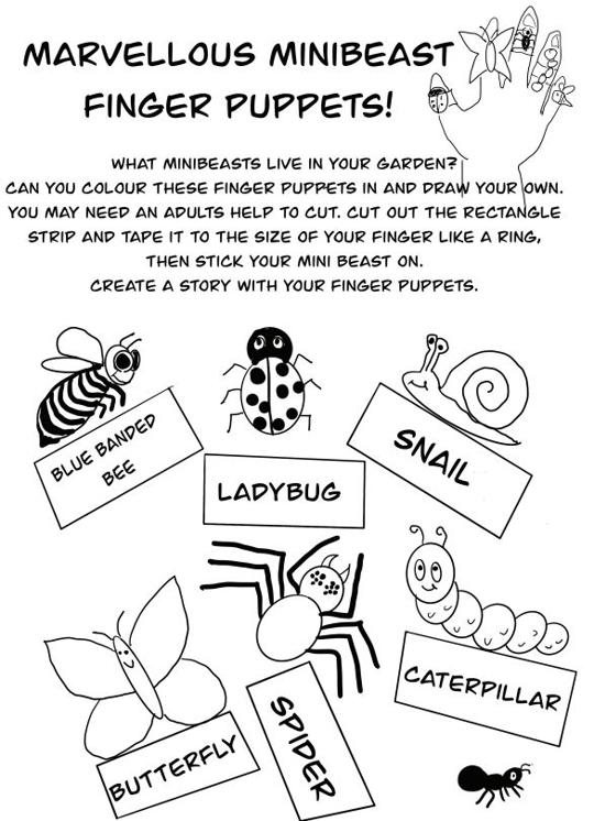"Marvellous Minibeast Finger Puppets!" - instructions on how to craft them.