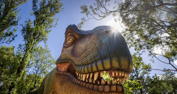 T-rex in the sunshine, seen from below.