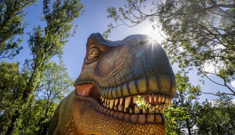 T-rex in the sunshine, seen from below.