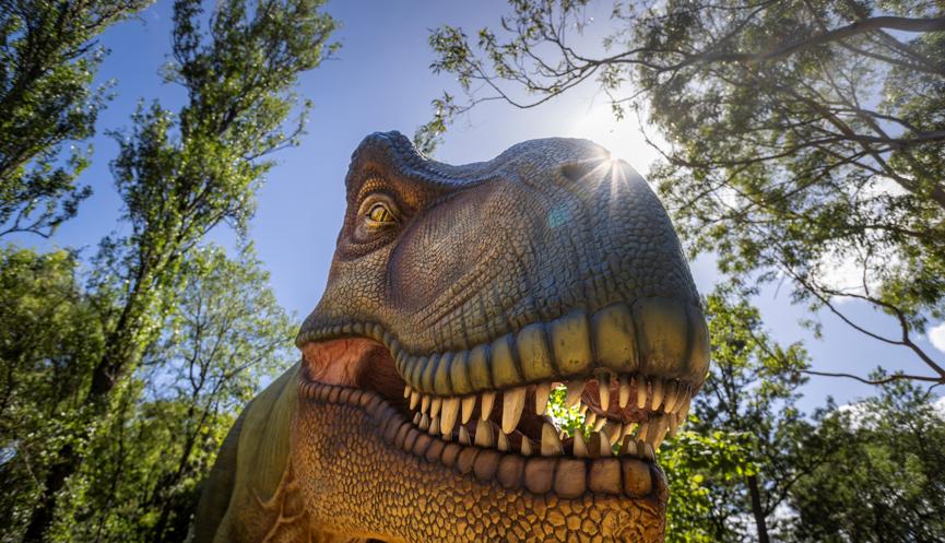 T-rex in the sunshine, seen from below.
