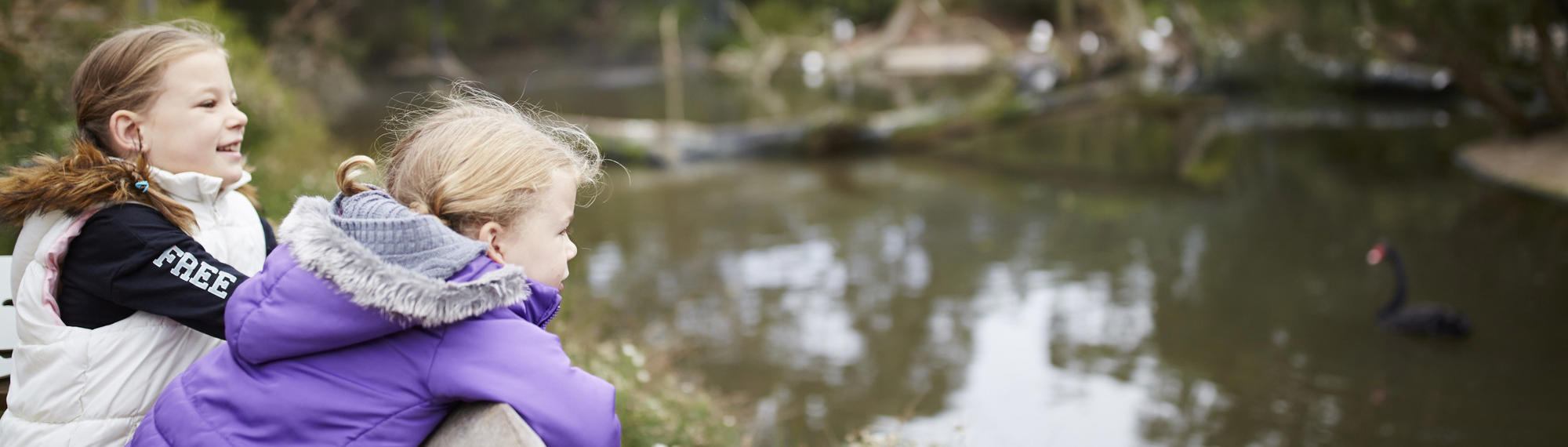 Two young guests lean over a wooden fence, watching assorted wetland fowl, including a black Swan swimming in the water.