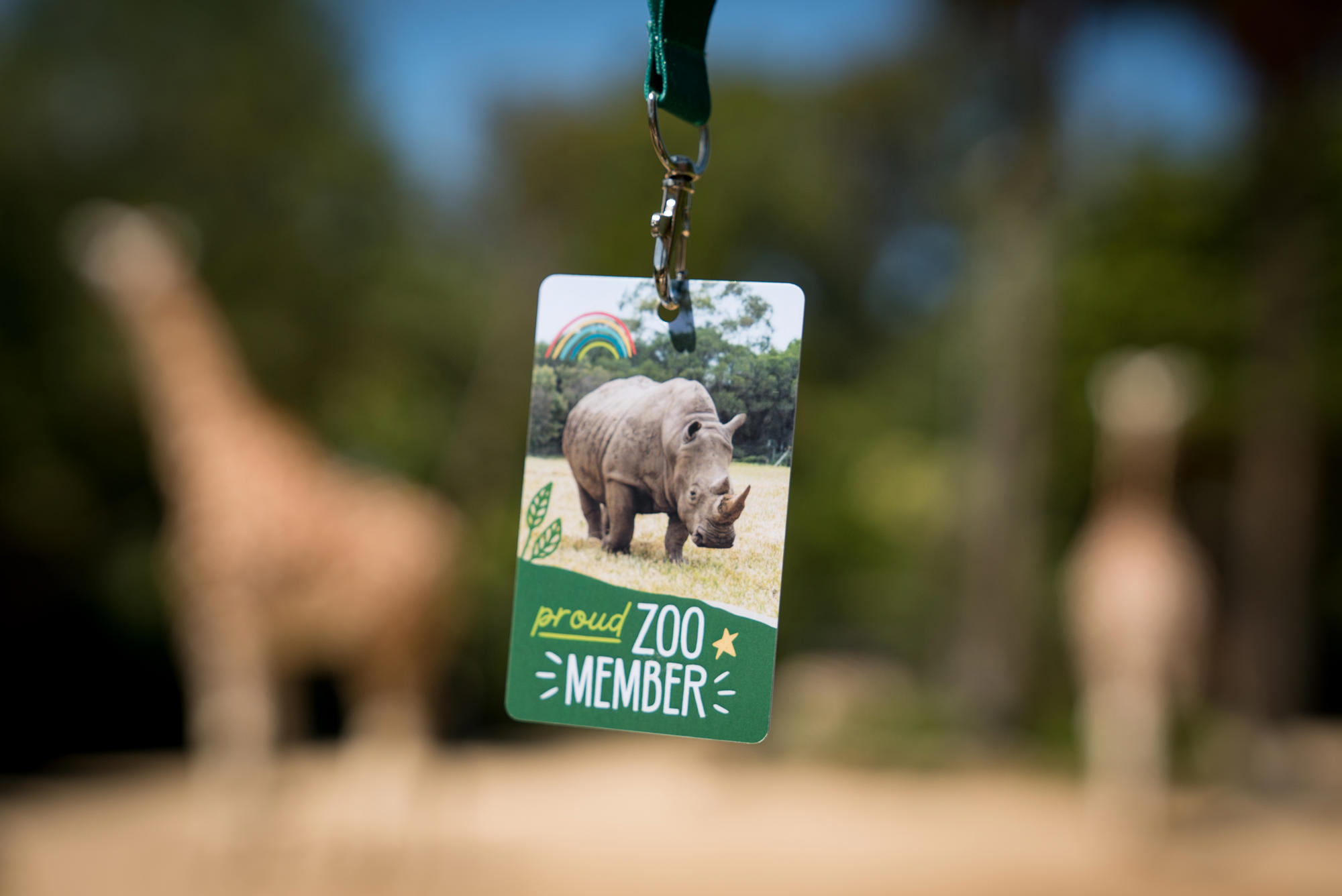 Zoo member lanyard, with Rhinoceros, in front of two Giraffes in the background, out of focus.
