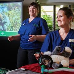 Two female vets standing in front of a digital presentation with a koala plush on a table in front of them