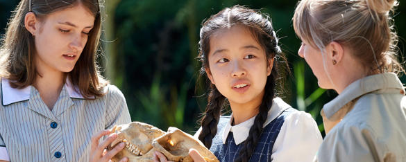 Two school students look at an animal skull as a zoo staff member talks to them