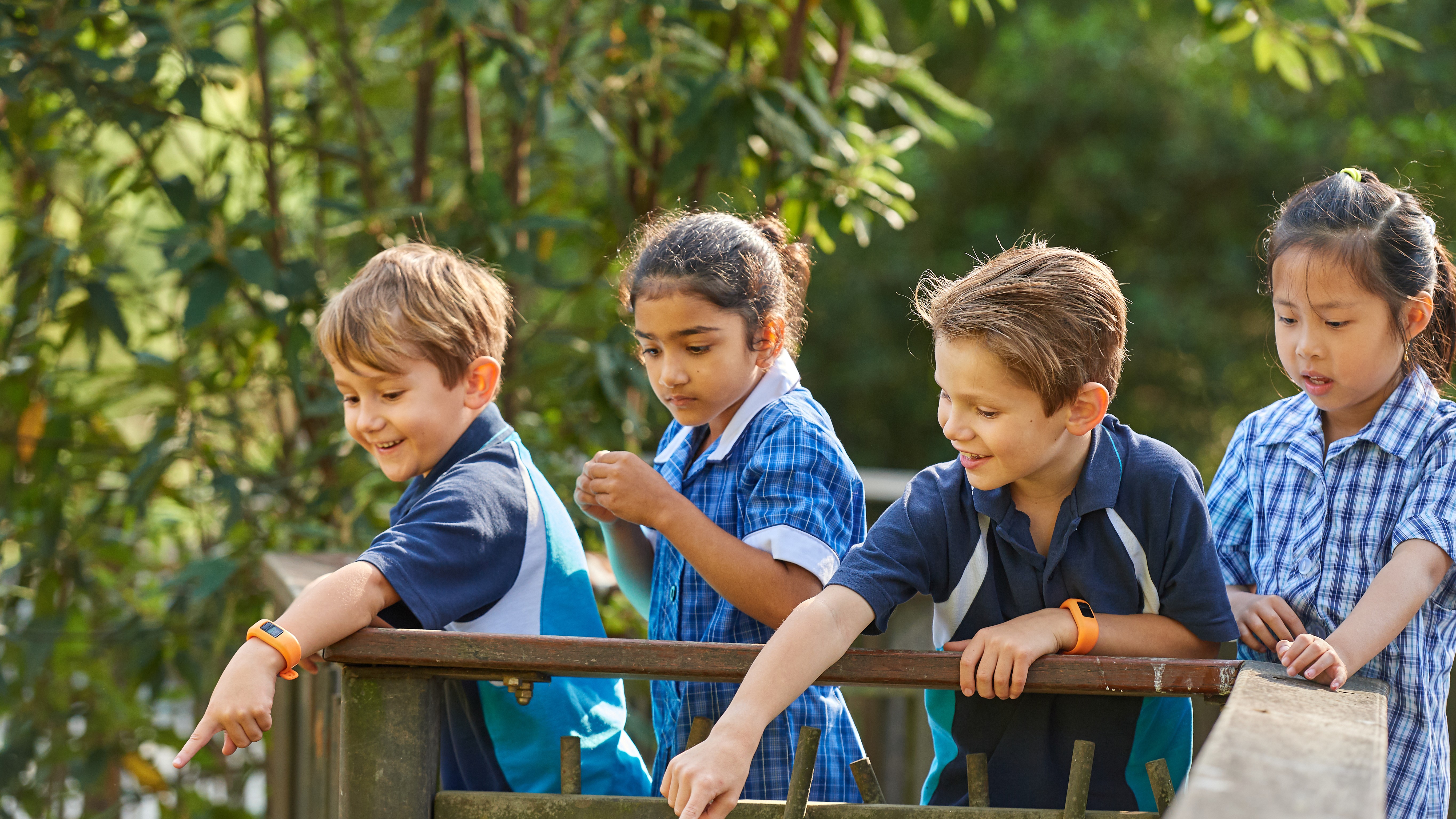 Four young students, watching wildlife from behind a wooden fence at Healesville Sanctuary.
