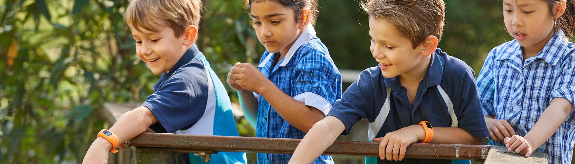 Four young students, watching wildlife from behind a wooden fence at Healesville Sanctuary.