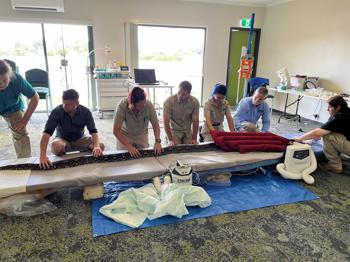 Group of Zoss Victoria staffs working together to x-ray 4-metre-long python, Ravi.