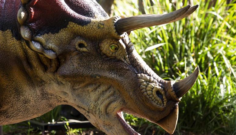 Side-on close-up of Triceratops, facing right with mouth open.