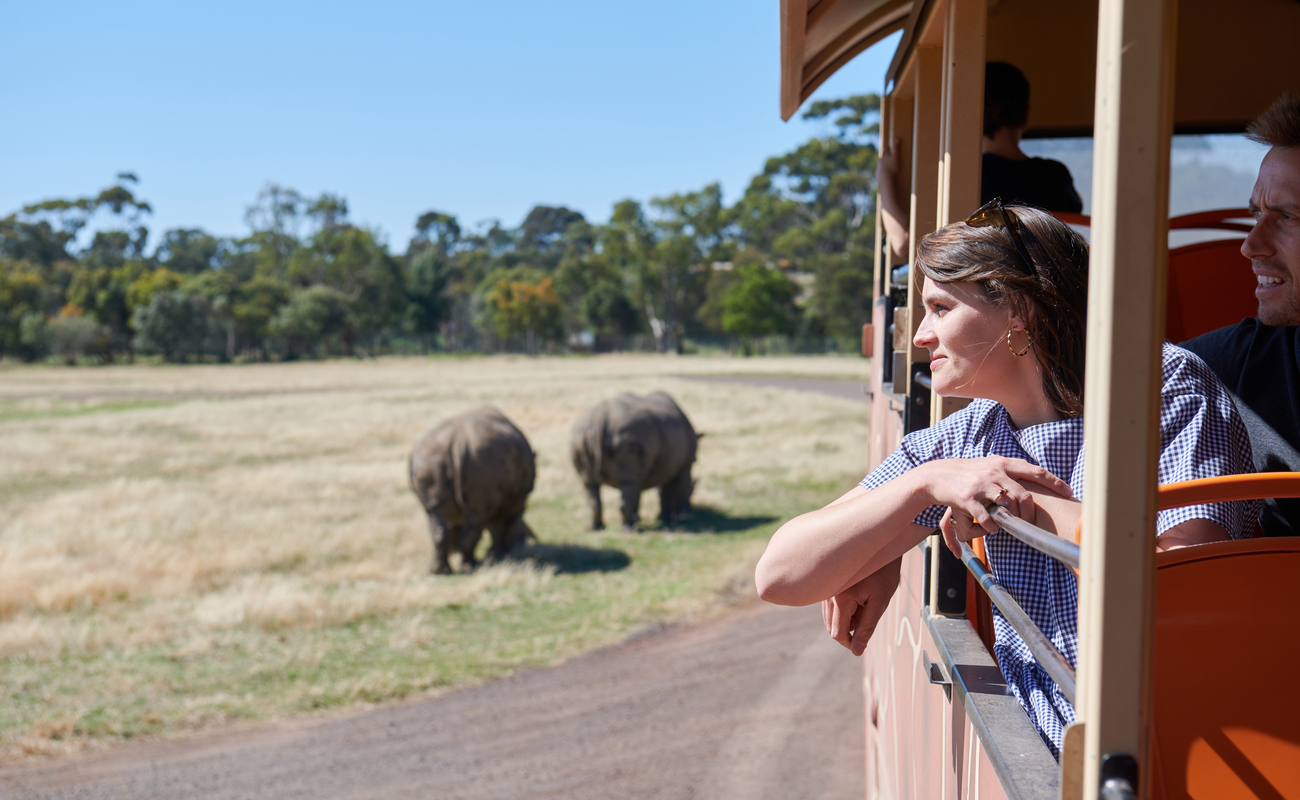 Upgrade your zoo tickets to a membership