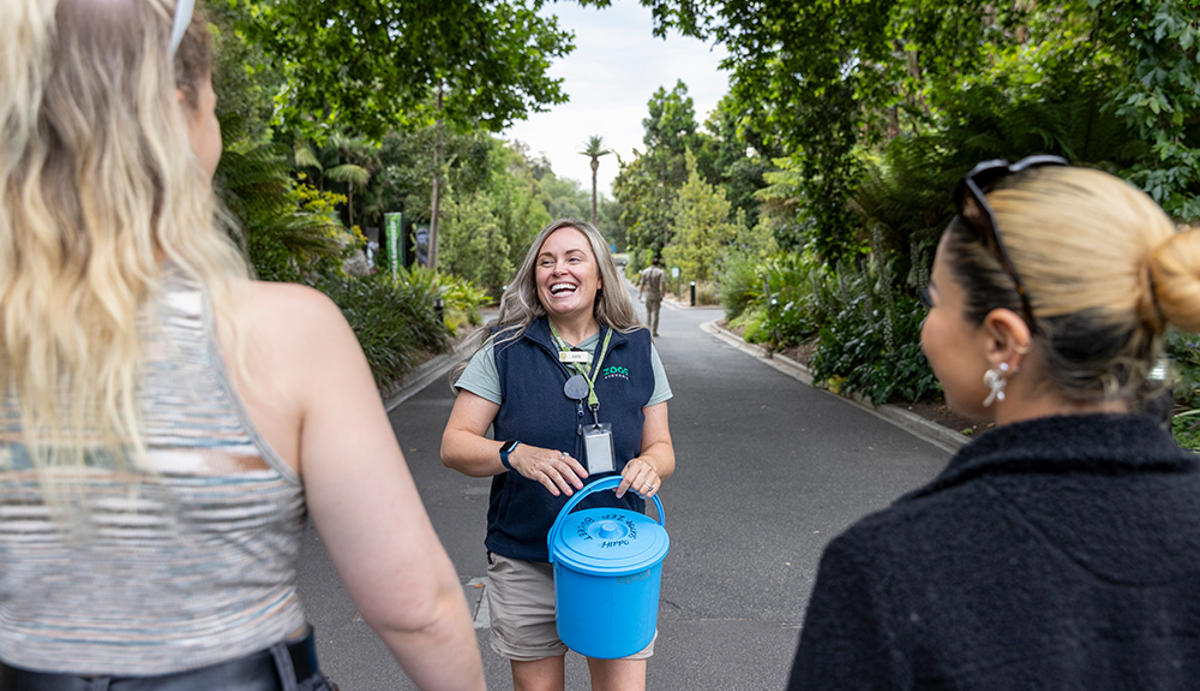 A Keeper cheerfully greets two (visible in frame) guests, while she holds a blue bucket, in the Melbourne Zoo Main Drive.