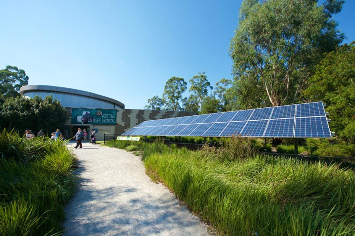 A panel of solar panels amongst a grassy landscape next to the Healesville Sanctuary Australian Wildlife Health Centre