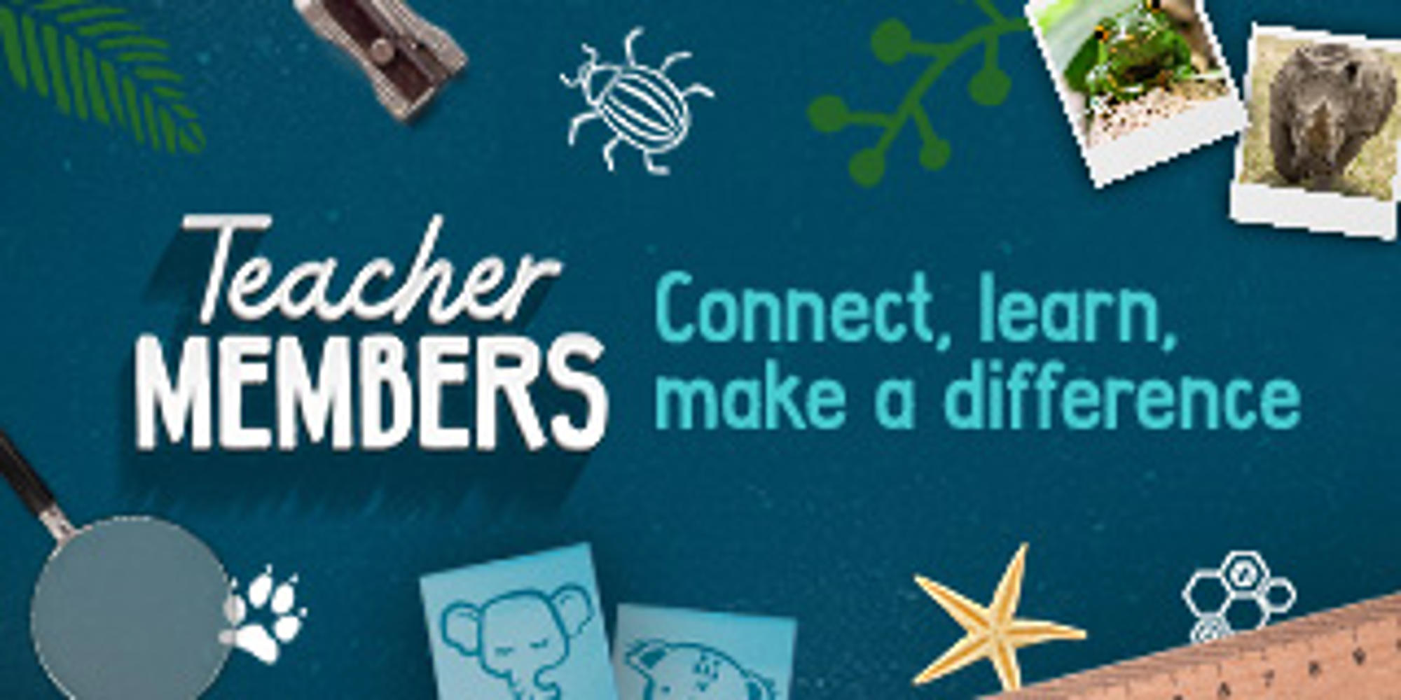 "Teacher Membership, Connect, learn, make a difference": The text is surrounded by a sharpener, illustrated Beetle, photos of a Frog and Rhino, ruler, Starfish, sticky notes with an Elephant and Koala, and a magnifying glass, all against a teal blue surface.