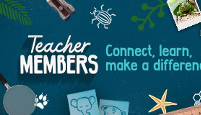 "Teacher Membership, Connect, learn, make a difference": The text is surrounded by a sharpener, illustrated Beetle, photos of a Frog and Rhino, ruler, Starfish, sticky notes with an Elephant and Koala, and a magnifying glass, all against a teal blue surface.