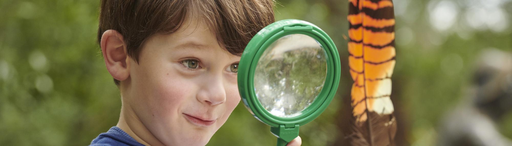 Young guest enthusiastically looks at a large, orange and brown feather, through a green magnifying glass.