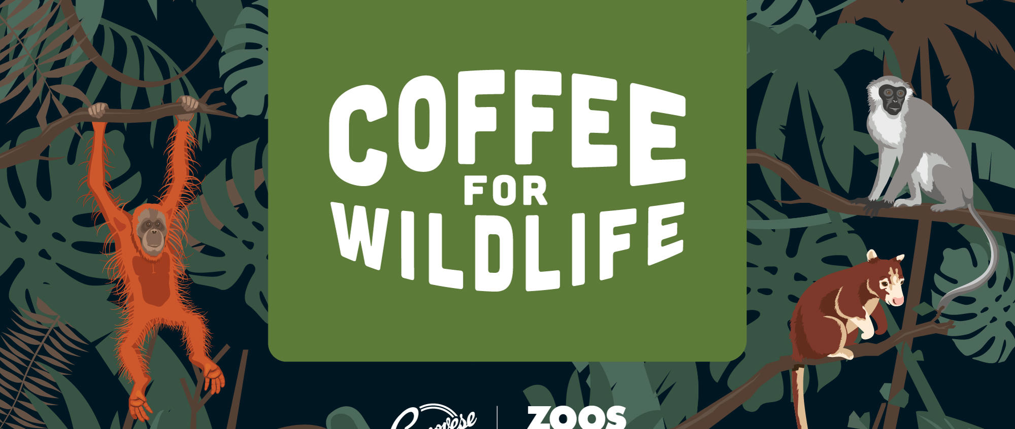 "Coffee For Wildlife" - Surrounding this logo are an illustrated Sumatran Orangutan to the left, Ethiopian Vervet Monkey and New Guinean Matschies Tree Kangaroo to the right.
