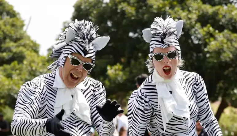Two people dressed in zebra costumes making funny faces at the camera.