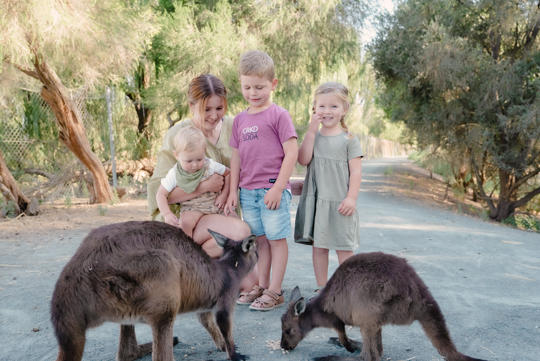 Family of four guests Encounter two Wallabies with feed.