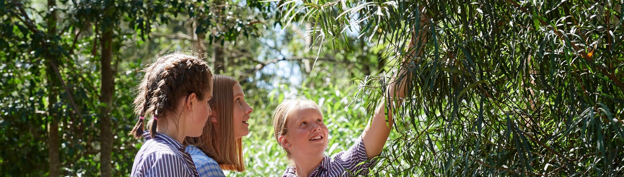 Three students examining tree, all facing right.