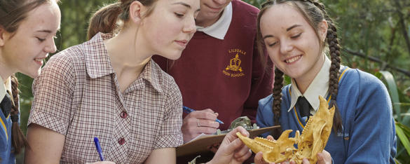 Four Secondary School Students Examine A Skull Healesville Sanctuary