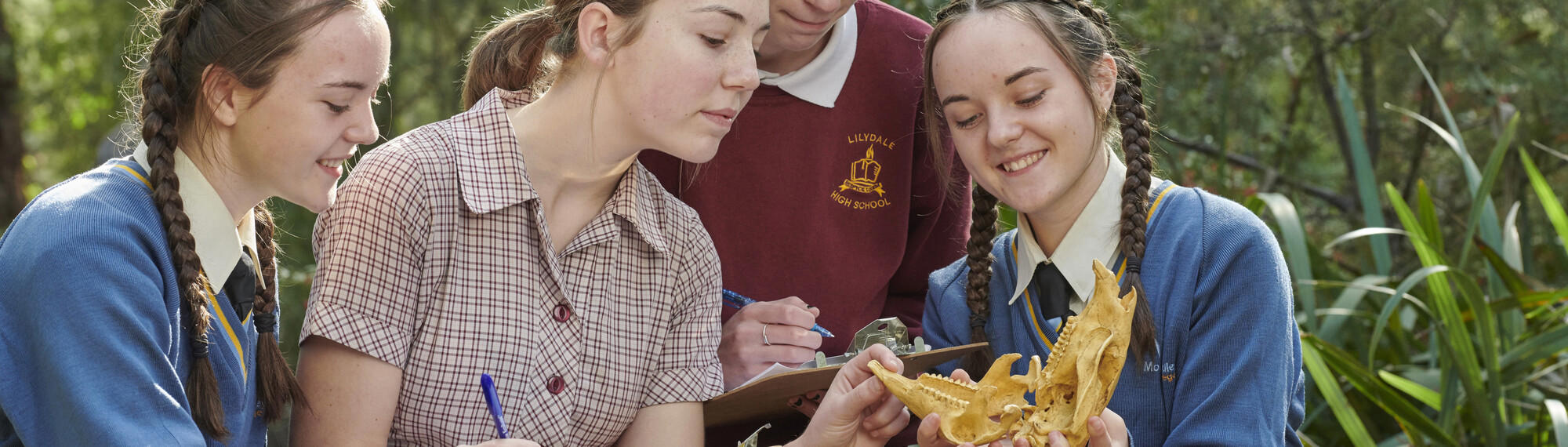 Four secondary school students examine an skull with open jaw, at Healesville Sanctuary.