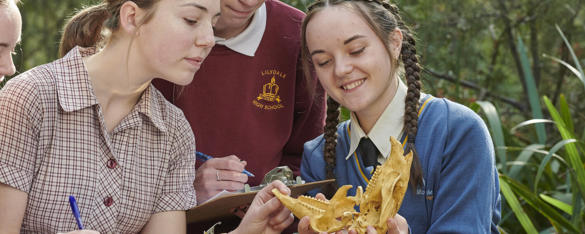 Four secondary school students examine an skull with open jaw, at Healesville Sanctuary.